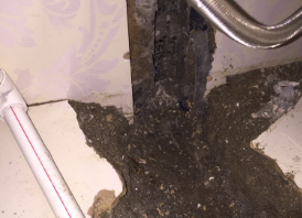 株洲卫生间测漏水哪家好