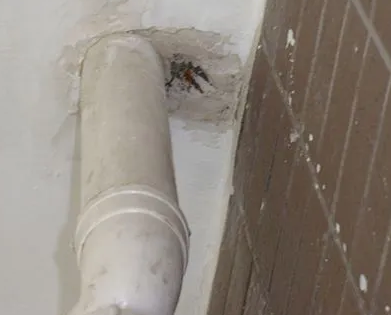 株洲漏水检测哪家好